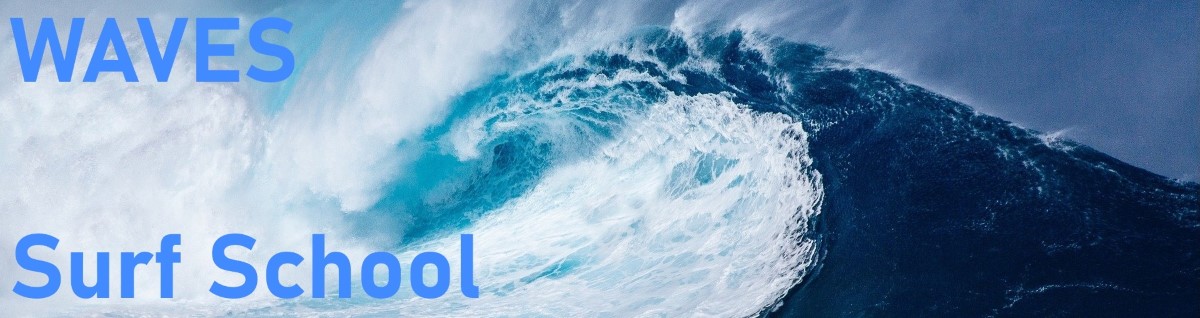 WAVES Surf School Banner