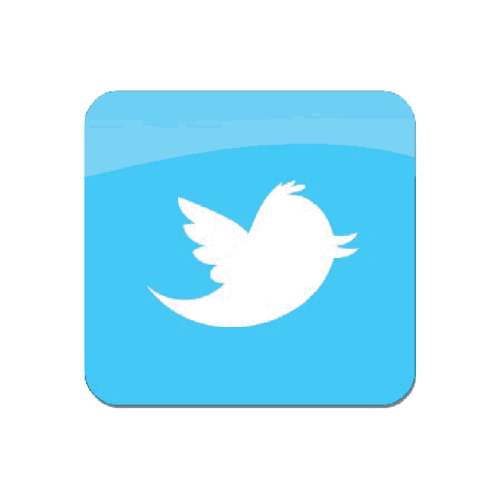 old twitter logo