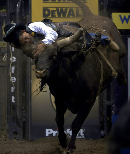 man riding bull