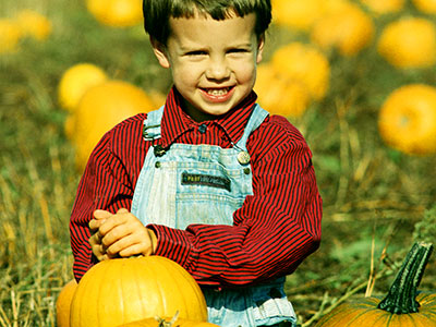 young child in pumpkin field
