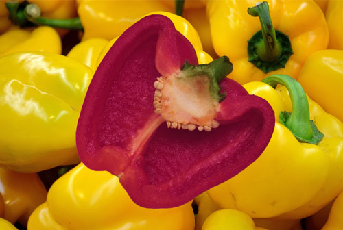 a red pepper with yellow peppers in the background