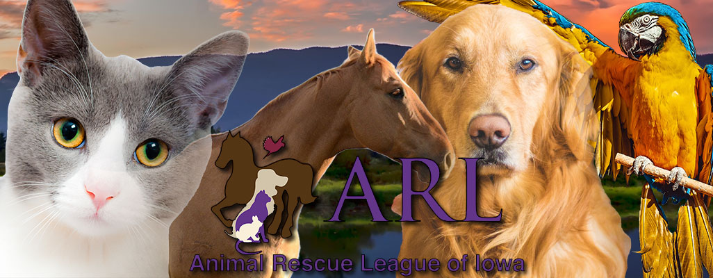 WDV131 Photoshop banner